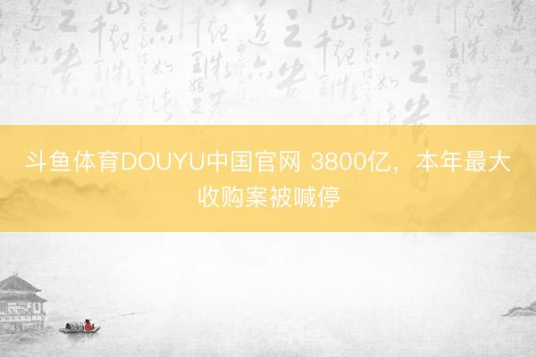 斗鱼体育DOUYU中国官网 3800亿，本年最大收购案被喊停
