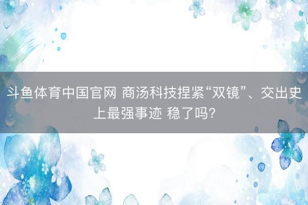 斗鱼体育中国官网 商汤科技捏紧“双镜”、交出史上最强事迹 稳了吗?