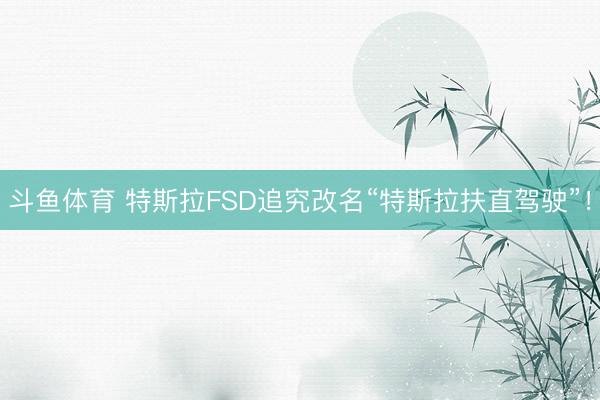斗鱼体育 特斯拉FSD追究改名“特斯拉扶直驾驶”！