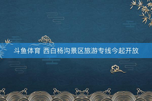 斗鱼体育 西白杨沟景区旅游专线今起开放