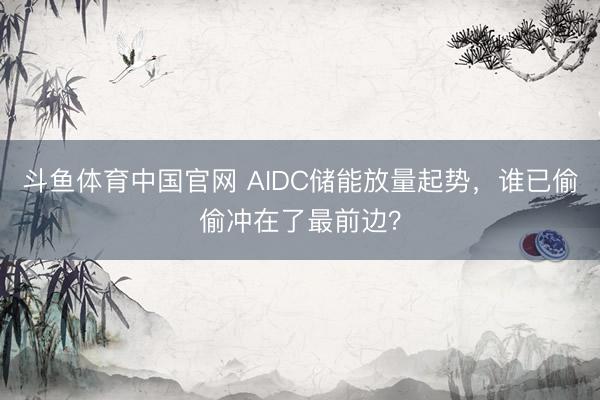 斗鱼体育中国官网 AIDC储能放量起势，谁已偷偷冲在了最前边？