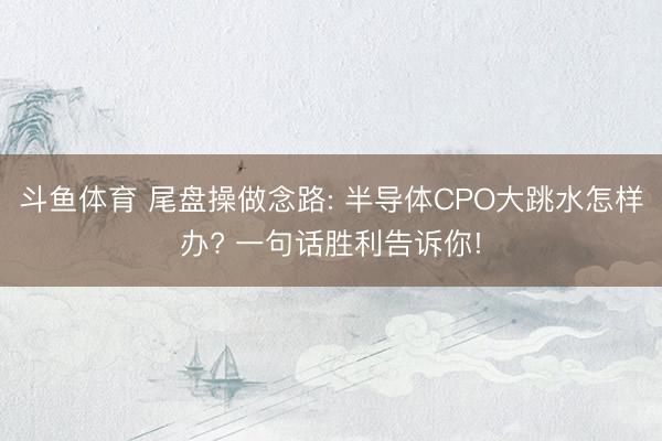 斗鱼体育 尾盘操做念路: 半导体CPO大跳水怎样办? 一句话胜利告诉你!