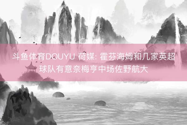 斗鱼体育DOUYU 荷媒: 霍芬海姆和几家英超球队有意奈梅亨中场佐野航大