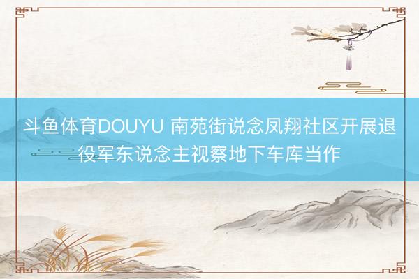 斗鱼体育DOUYU 南苑街说念凤翔社区开展退役军东说念主视察地下车库当作