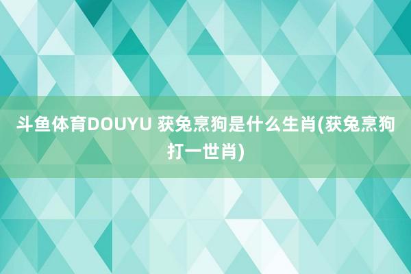 斗鱼体育DOUYU 获兔烹狗是什么生肖(获兔烹狗打一世肖)